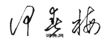 骆恒光何春梅草书个性签名怎么写