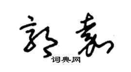 朱锡荣郭嘉草书个性签名怎么写