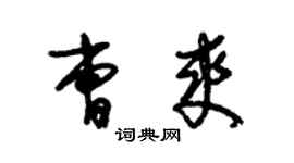 朱锡荣曹爽草书个性签名怎么写