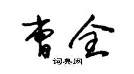 朱锡荣曹全草书个性签名怎么写
