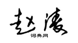 朱锡荣赵凌草书个性签名怎么写