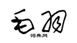 朱锡荣毛羽草书个性签名怎么写