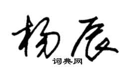 朱锡荣杨辰草书个性签名怎么写