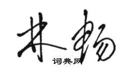 骆恒光林畅草书个性签名怎么写