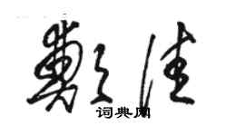 骆恒光郑佳草书个性签名怎么写