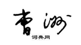 朱锡荣曹洲草书个性签名怎么写