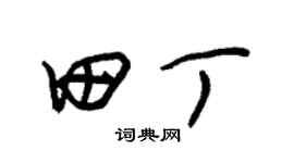 朱锡荣田丁草书个性签名怎么写