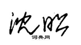 朱锡荣沈昭草书个性签名怎么写