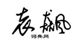 朱锡荣袁飚草书个性签名怎么写