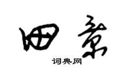 朱锡荣田景草书个性签名怎么写