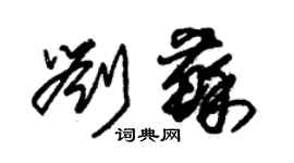 朱锡荣刘苏草书个性签名怎么写
