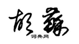 朱锡荣胡苏草书个性签名怎么写