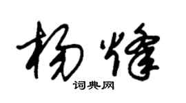 朱锡荣杨烽草书个性签名怎么写
