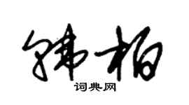 朱锡荣韩柏草书个性签名怎么写