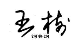 朱锡荣王树草书个性签名怎么写