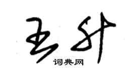 朱锡荣王升草书个性签名怎么写
