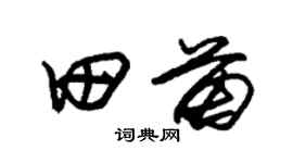 朱锡荣田苗草书个性签名怎么写