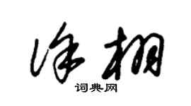 朱锡荣徐栩草书个性签名怎么写
