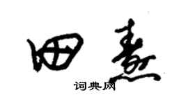 朱锡荣田焘草书个性签名怎么写