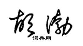朱锡荣胡渤草书个性签名怎么写