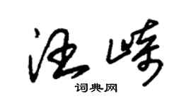 朱锡荣汪崎草书个性签名怎么写