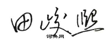 骆恒光田峻熙草书个性签名怎么写