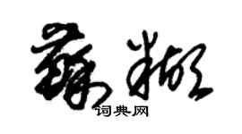 朱锡荣苏糊草书个性签名怎么写
