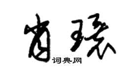 朱锡荣肖环草书个性签名怎么写