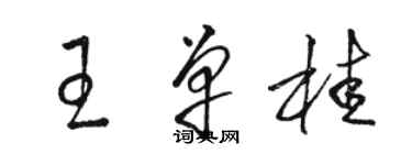 骆恒光王单桂草书个性签名怎么写