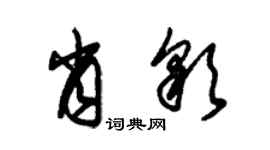 朱锡荣肖彩草书个性签名怎么写