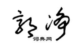 朱锡荣郭净草书个性签名怎么写