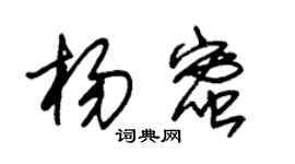 朱锡荣杨蜜草书个性签名怎么写
