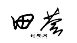 朱锡荣田荟草书个性签名怎么写