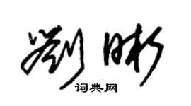 朱锡荣刘晰草书个性签名怎么写