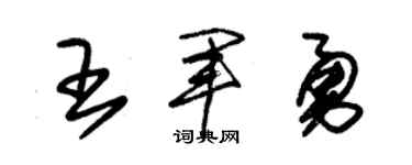 朱锡荣王军勇草书个性签名怎么写
