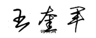 朱锡荣王奎军草书个性签名怎么写