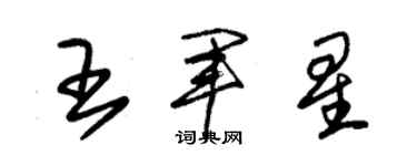 朱锡荣王军星草书个性签名怎么写