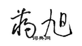 骆恒光蒋旭草书个性签名怎么写