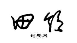 朱锡荣田领草书个性签名怎么写