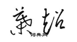 骆恒光叶超草书个性签名怎么写