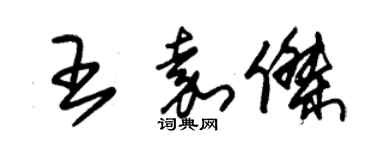 朱锡荣王嘉杰草书个性签名怎么写