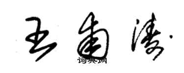 朱锡荣王甫涛草书个性签名怎么写