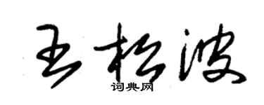 朱锡荣王松波草书个性签名怎么写