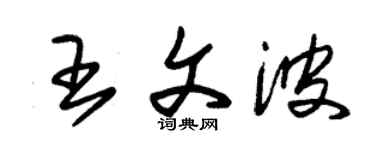 朱锡荣王文波草书个性签名怎么写