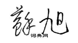骆恒光苏旭草书个性签名怎么写