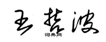 朱锡荣王哲波草书个性签名怎么写
