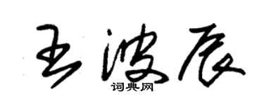 朱锡荣王波辰草书个性签名怎么写