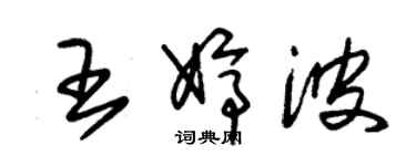 朱锡荣王婷波草书个性签名怎么写