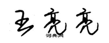 朱锡荣王亮亮草书个性签名怎么写
