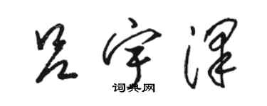 骆恒光吕宇泽草书个性签名怎么写